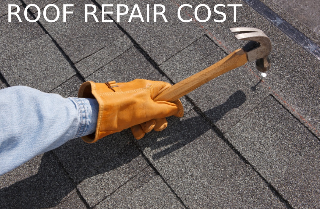 ROOF REPAIR COST