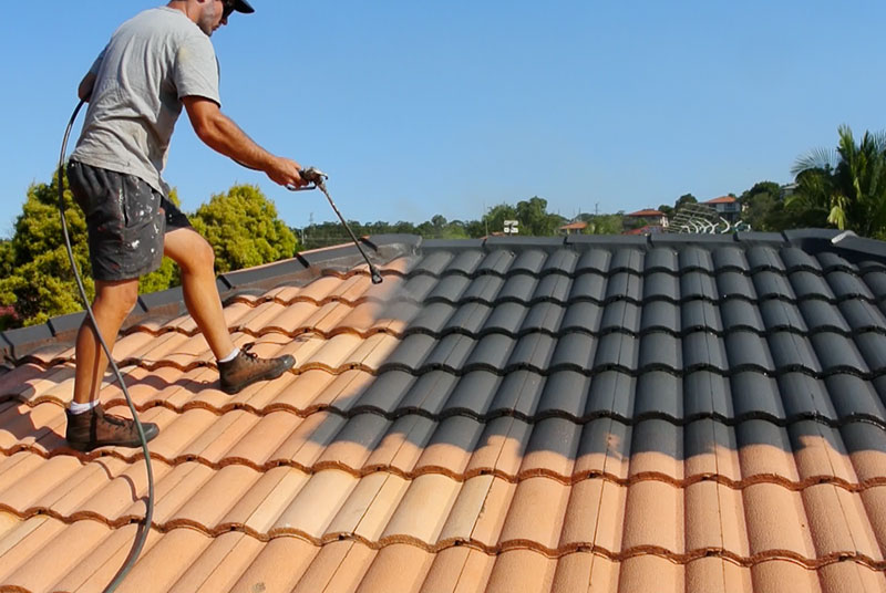 roof painting cost